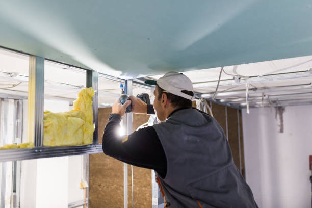 Best Blown-in Insulation  in Ashland, NE