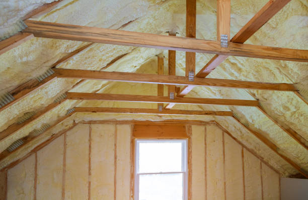 Best Insulation Contractors for Homes  in Ashland, NE