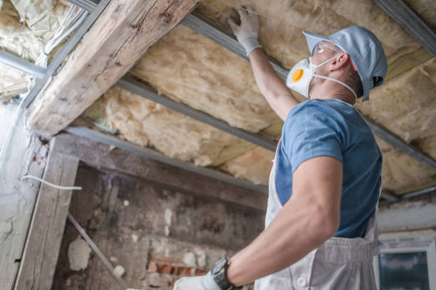 Best Garage Insulation Installation  in Ashland, NE