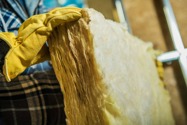 Best Attic Insulation Installation  in Ashland, NE