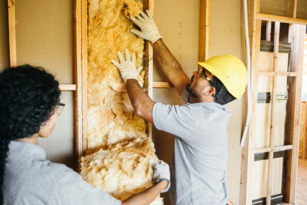 Best Spray Foam Insulation  in Ashland, NE