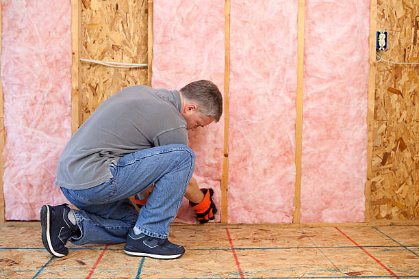 Best Cellulose Insulation  in Ashland, NE