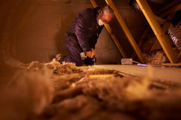 Best Insulation Replacement Services  in Ashland, NE